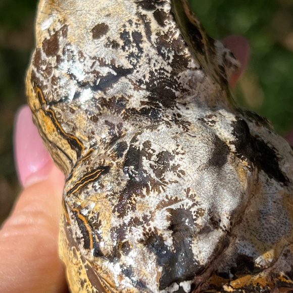 Picture jasper (1) owl craving | crystal - Picture 11 of 12